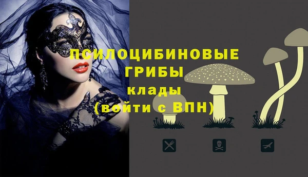 трава Абинск