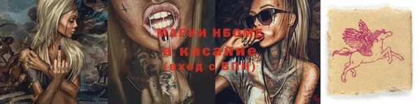 прущие грибы Абдулино