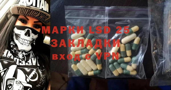 прущие грибы Абдулино