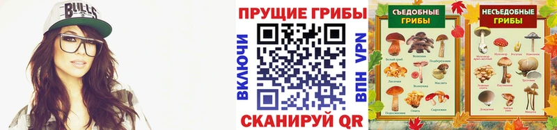 Псилоцибиновые грибы мухоморы даркнет официальный сайт Починок закладка